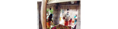செக்கானூரணி 